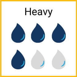 Heavy Absorbency Underwear