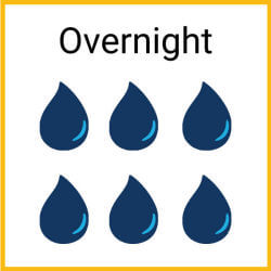 Overnight Absorbency Briefs